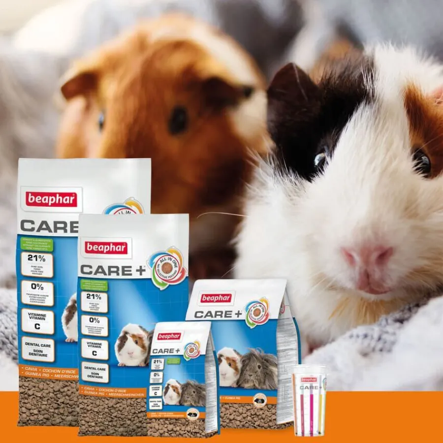Beaphar Care + Pienso para cobayas Clearance