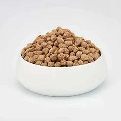 Beaphar Care+ Pienso para conejos New