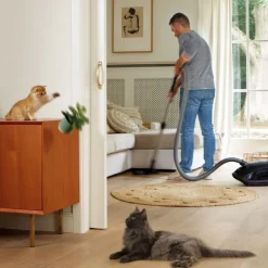 Beaphar CatComfort Excellence Difusor de Feromonas para gatos Best