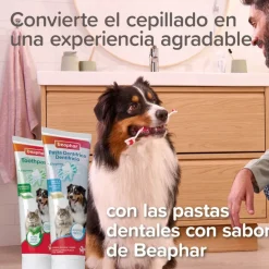 Beaphar Cepillo Dental de Bambú para Perros y Gatos Hot