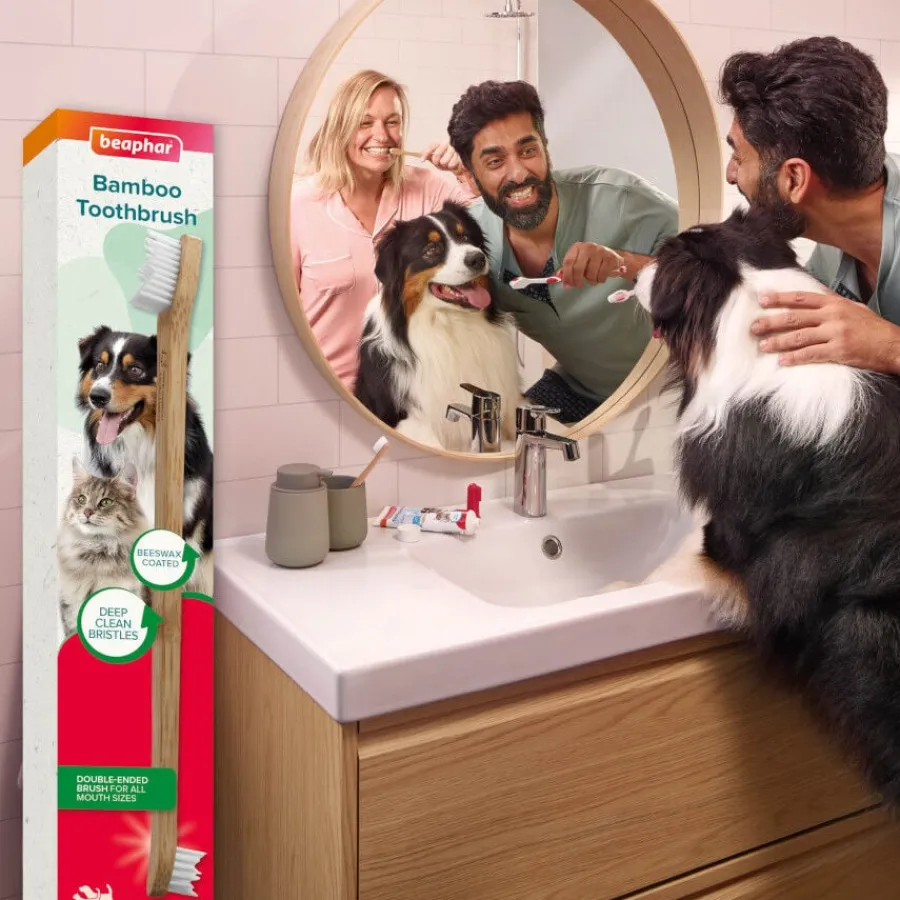 Beaphar Cepillo Dental de Bambú para Perros y Gatos Hot