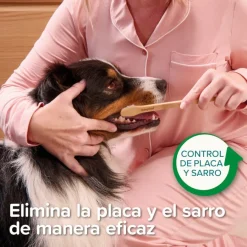 Beaphar Cepillo Dental de Bambú para Perros y Gatos Hot