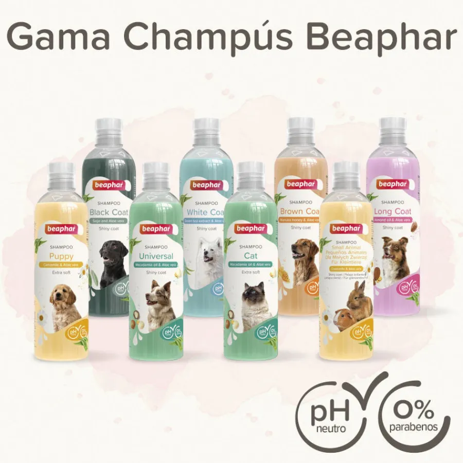 Beaphar Champú Extra Suave para gatos Best