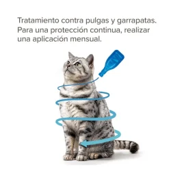 Beaphar Fiprotec Pipetas Antiparasitarias para gatos Discount