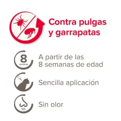 Beaphar Fiprotec Pipetas Antiparasitarias para gatos Discount