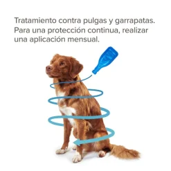 Beaphar FiproTec Pipetas para perros Outlet