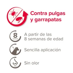 Beaphar FiproTec Pipetas para perros Outlet
