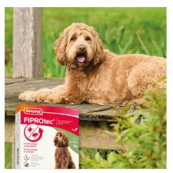 Beaphar FiproTec Pipetas para perros Outlet