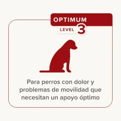 Beaphar Flexifit Chews Condroprotector para perros Outlet