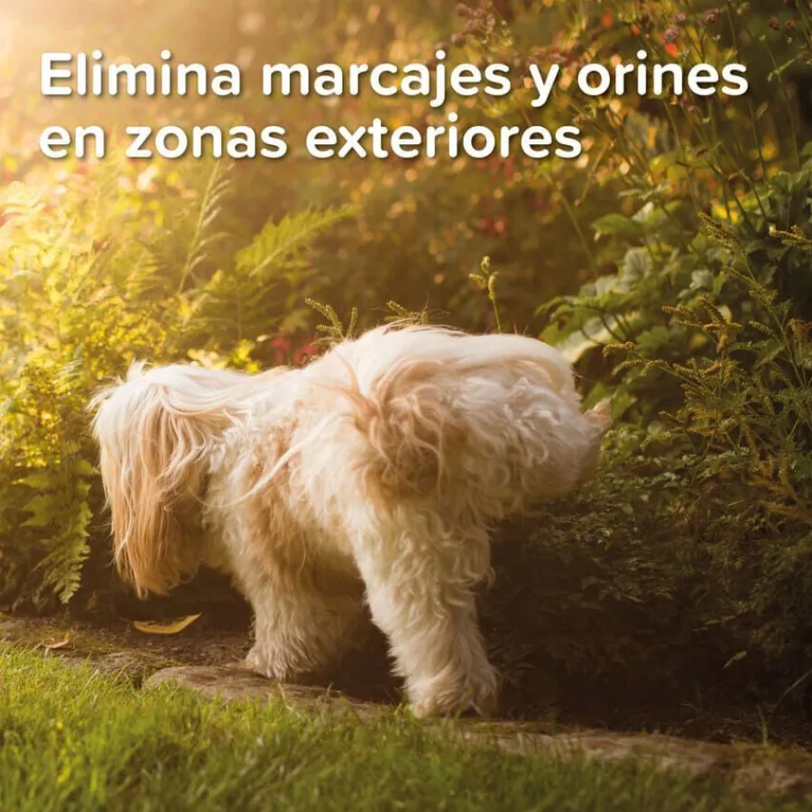 Beaphar Gel Educador para Exterior para perros y gatos Sale