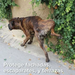 Beaphar Gel Educador para Exterior para perros y gatos Sale