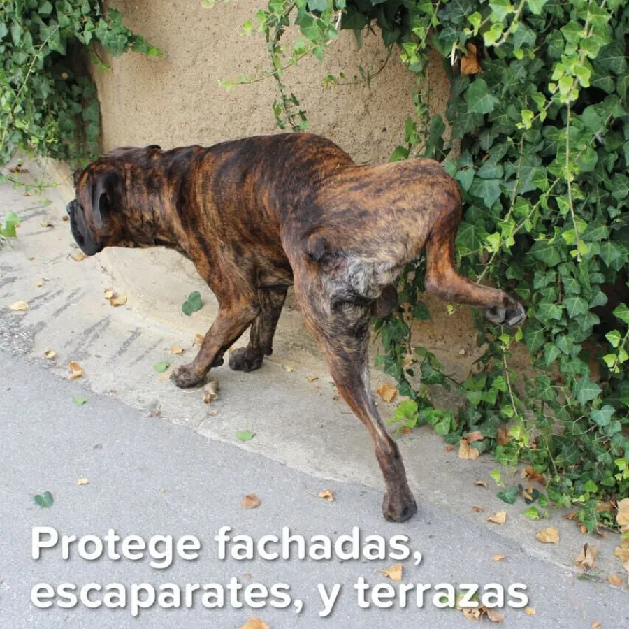 Beaphar Gel Educador para Exterior para perros y gatos Sale