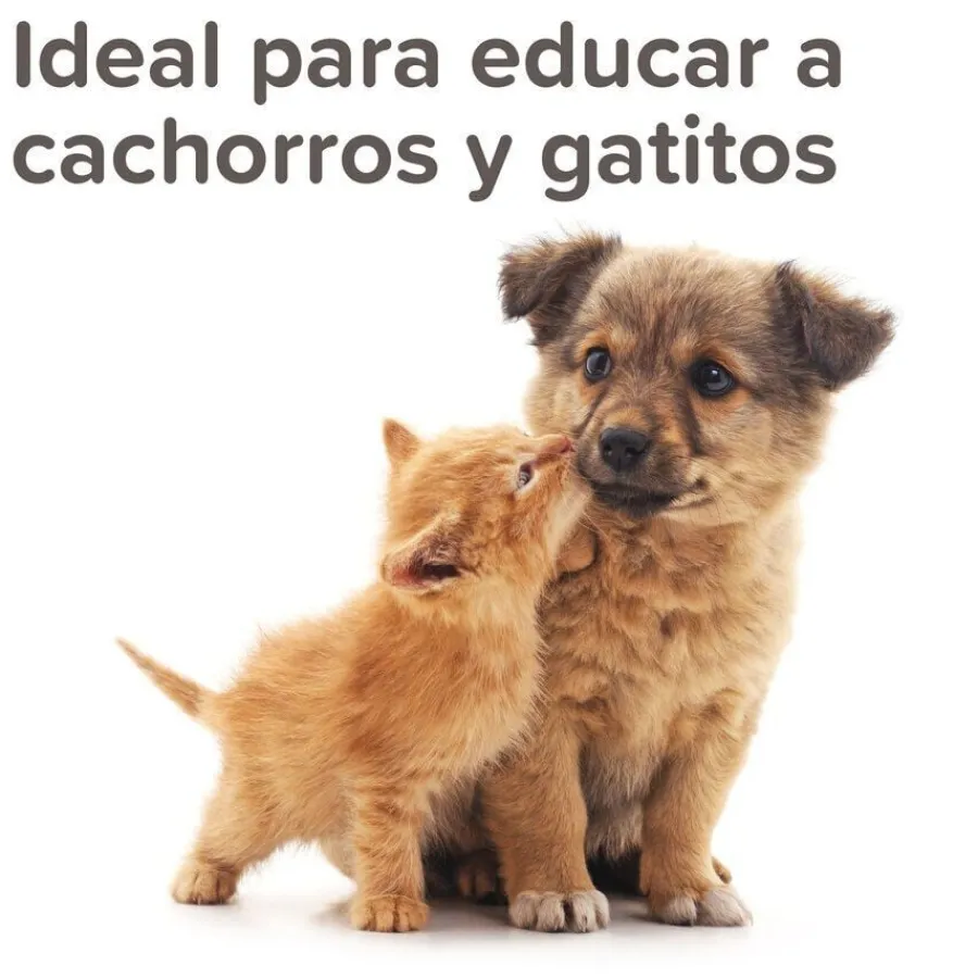 Beaphar Gel Educador para Exterior para perros y gatos Sale