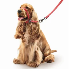 Beaphar Gentle Leader Collar de adiestramiento Rojo para perros Discount