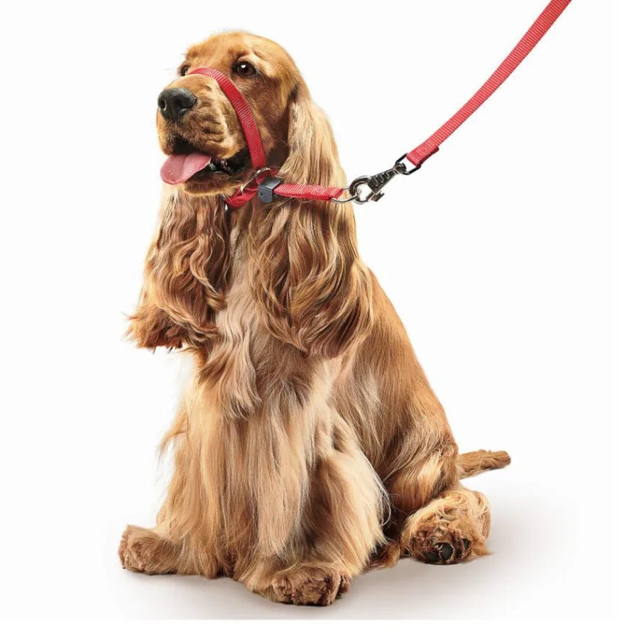 Beaphar Gentle Leader Collar de adiestramiento Rojo para perros Discount