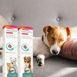 Beaphar IntestoPro pasta para perros Discount