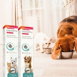 Beaphar IntestoPro Regulador Intestinal en Pasta para cachorros y gatos Hot