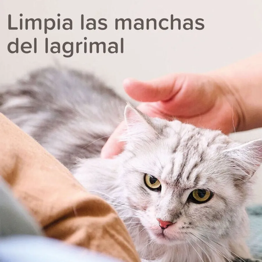 Beaphar Limpiador de Lagrimal para perros y gatos Discount