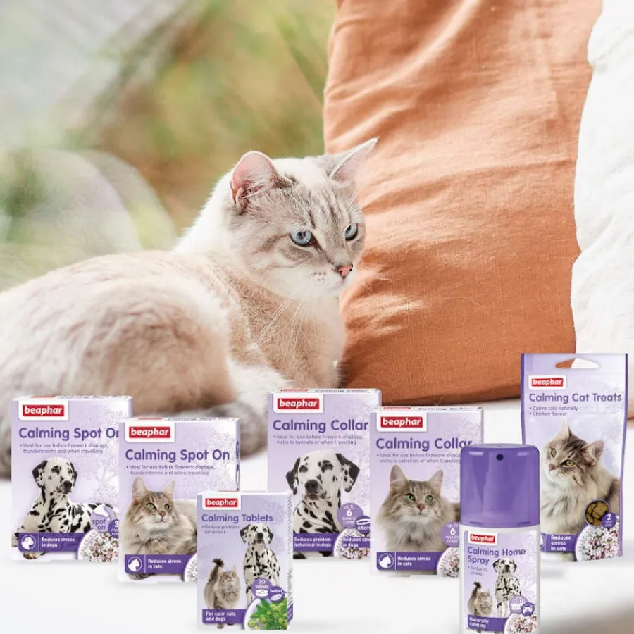 Beaphar No Stress Difusor y Recambio Relajantes para gatos Hot
