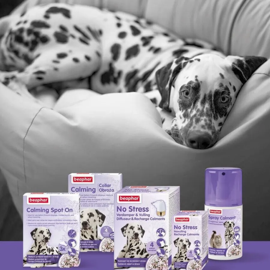 Beaphar No-Stress Difusor de Recambio Anti estrés para perros Online