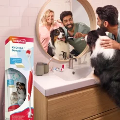 Beaphar Pack Dental Pasta y Cepillo para Perros y Gatos Online