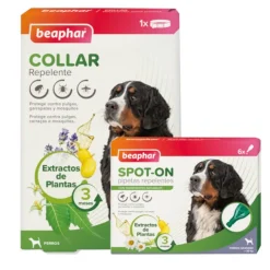 Beaphar Pack Pipetas y Collar Repelente para perros Clearance
