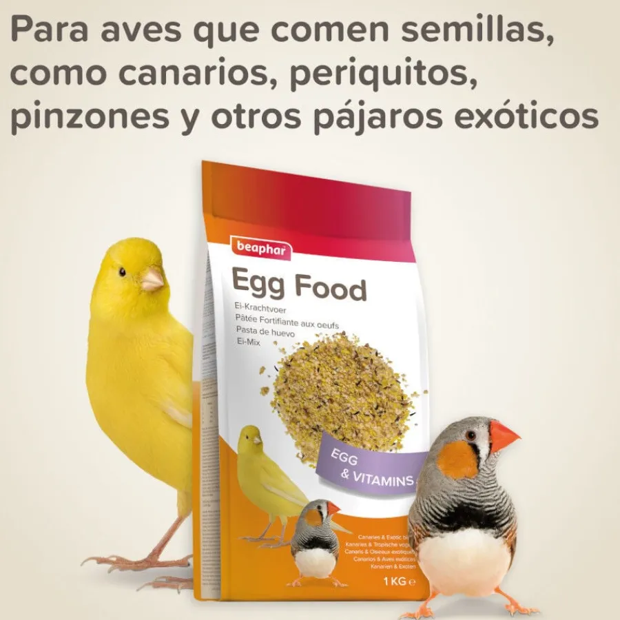 Beaphar Pasta de Huevo para canarios Outlet
