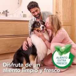 Beaphar Pasta Dental Menta Perejil para Perros y Gatos Discount