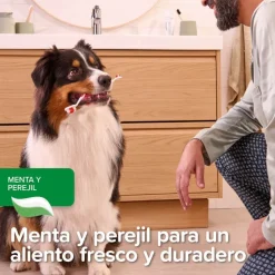 Beaphar Pasta Dental Menta Perejil para Perros y Gatos Discount