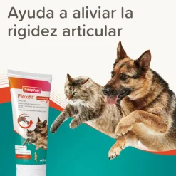 Beaphar Pasta Flexifit para perros y gatos Sale