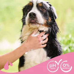 Beaphar Pelo Largo Champú para perros Outlet
