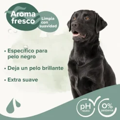 Beaphar Pelo Negro Champú para perros Discount