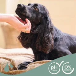 Beaphar Pelo Negro Champú para perros Discount