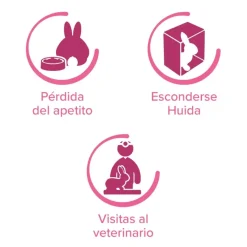 Beaphar RabbitComfort Spray Tranquilizante para conejos Discount