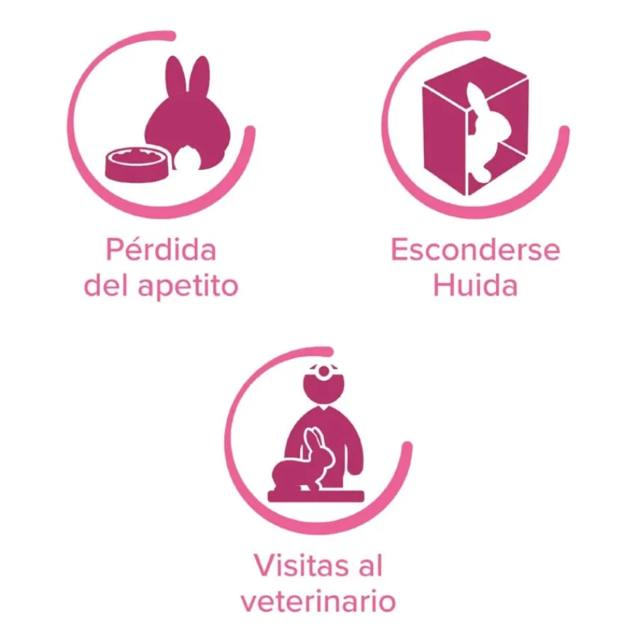 Beaphar RabbitComfort Spray Tranquilizante para conejos Discount