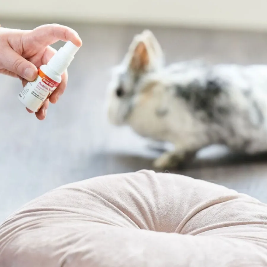 Beaphar RabbitComfort Spray Tranquilizante para conejos Discount
