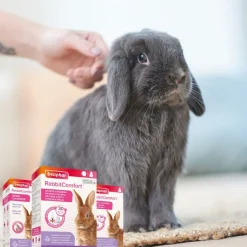 Beaphar RabbitComfort Spray Tranquilizante para conejos Discount