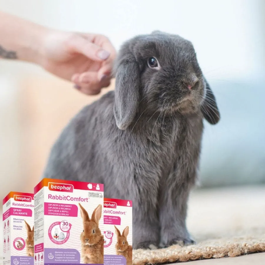 Beaphar RabbitComfort Spray Tranquilizante para conejos Discount