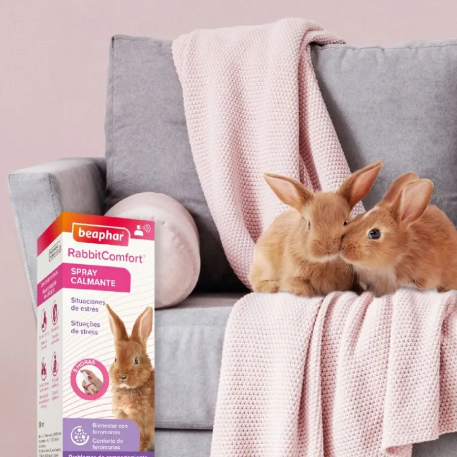 Beaphar RabbitComfort Spray Tranquilizante para conejos Discount