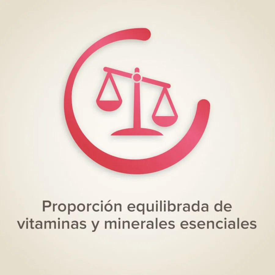 Beaphar Semillas de frutas para pájaros