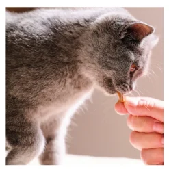 Beaphar Snacks Dentales para gatos Sale
