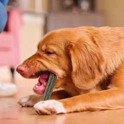 Beaphar Sticks Dentales para perros medianos y grandes. Sale