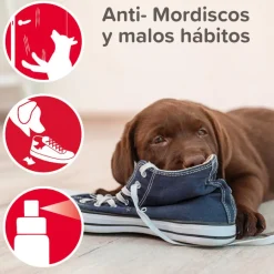 Beaphar Stop It Educador para interior antimicciones y antimordeduras New