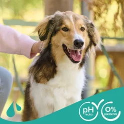 Beaphar Universal Champú para perros Best