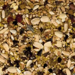 Beaphar XtraVital Comida para loros Outlet
