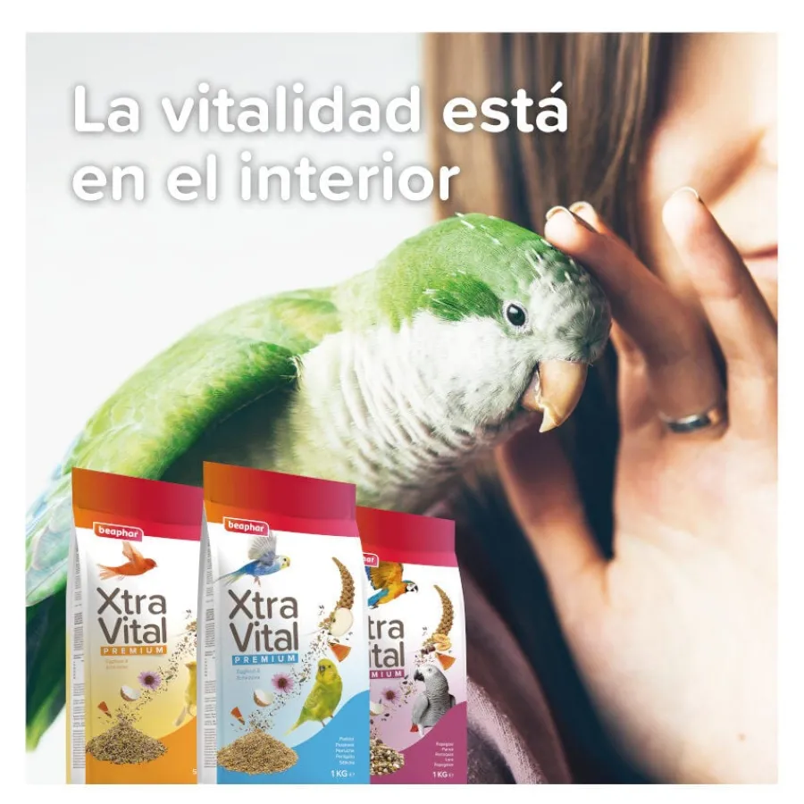 Beaphar XtraVital Mixtura para periquitos grandes Clearance