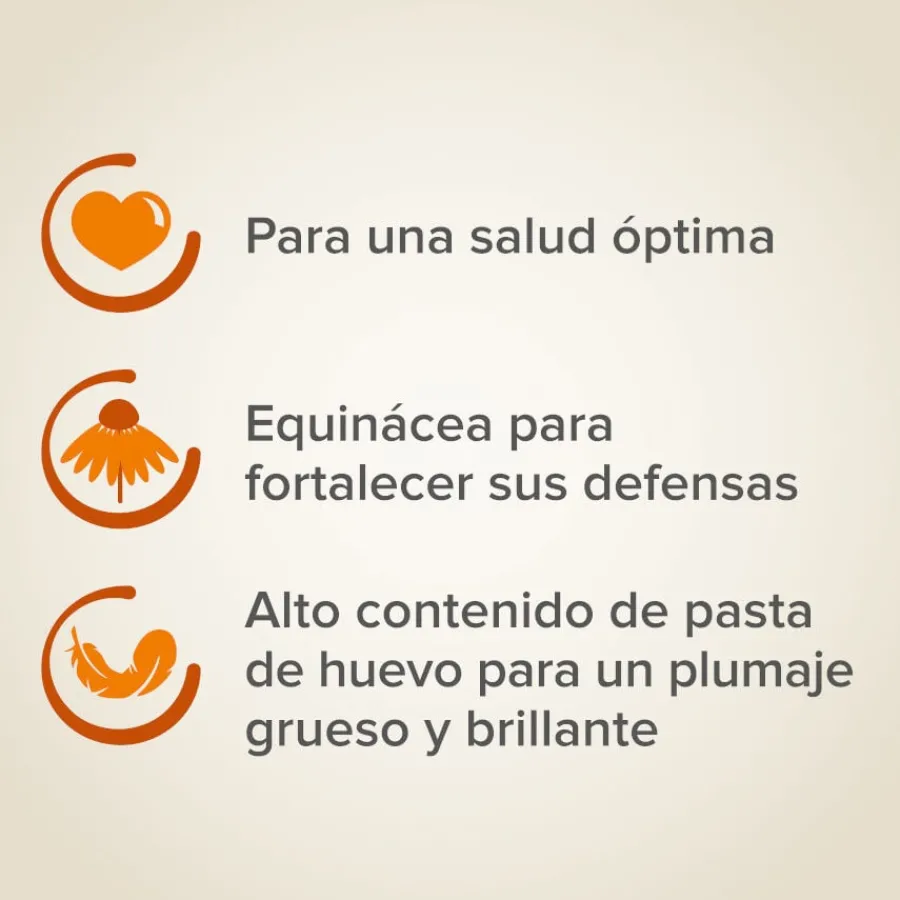 Beaphar XtraVital Premium Canarios alimento para pájaros Best