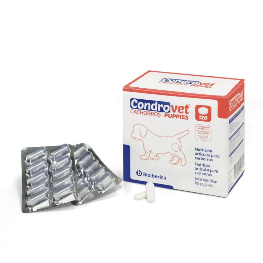 Bioibérica Bioiberica Condrovet Condroprotector articular para cachorros Online
