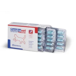 Bioibérica Bioiberica Condrovet Force HA Condroprotector para gatos Online