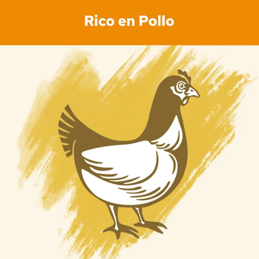 Cat Chow Adult Pollo Pienso para gatos Sale